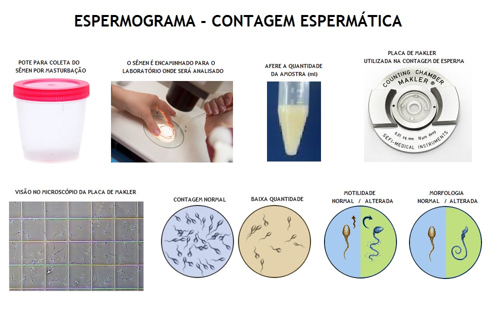 Telefone laboratorio exame