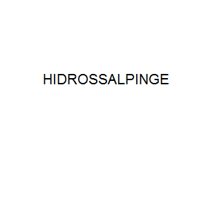 HIDROSSALPINGE.png