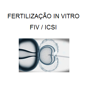 FERTILIZA__O_IN_VITRO_FIV_ICSI.png