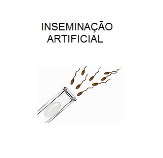 INSEMINA__O_ARTIFICIAL_CAPA.jpg